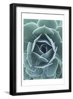 Succulent With Dew 1-Urban Epiphany-Framed Art Print