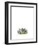 Succulent-Ann Solo-Framed Art Print