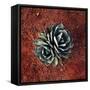 Succulent-Lindsay Daniels-Framed Stretched Canvas