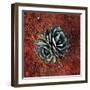 Succulent-Lindsay Daniels-Framed Photographic Print