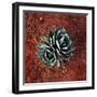 Succulent-Lindsay Daniels-Framed Photographic Print