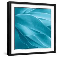 Succulent-Jan Bell-Framed Premium Photographic Print