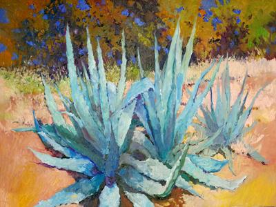 https://imgc.allpostersimages.com/img/posters/succulents-blue-agaves-in-the-wild_u-L-F9JR620.jpg?artPerspective=n