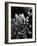 Succulents, c. 1970-Brett Weston-Framed Photographic Print