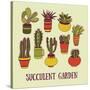 Succulents Garden-LunaSolvo-Stretched Canvas