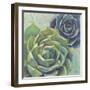 Succulents I Crop-Wellington Studio-Framed Art Print