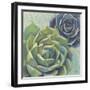 Succulents I Crop-Wellington Studio-Framed Art Print
