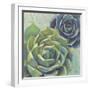 Succulents I Crop-Wellington Studio-Framed Art Print