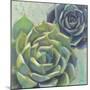 Succulents I Crop-Wellington Studio-Mounted Art Print