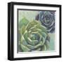 Succulents I Crop-Wellington Studio-Framed Art Print