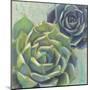 Succulents I Crop-Wellington Studio-Mounted Art Print