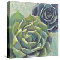 Succulents I Crop-Wellington Studio-Stretched Canvas