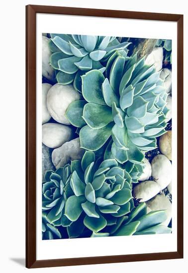 Succulents no words-Urban Epiphany-Framed Art Print