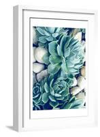 Succulents no words-Urban Epiphany-Framed Art Print