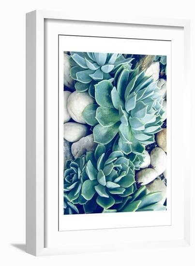 Succulents no words-Urban Epiphany-Framed Art Print