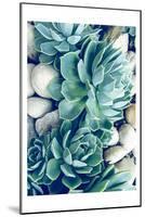 Succulents no words-Urban Epiphany-Mounted Art Print