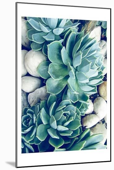 Succulents no words-Urban Epiphany-Mounted Art Print