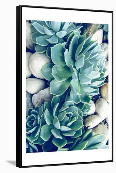 Succulents no words-Urban Epiphany-Framed Stretched Canvas