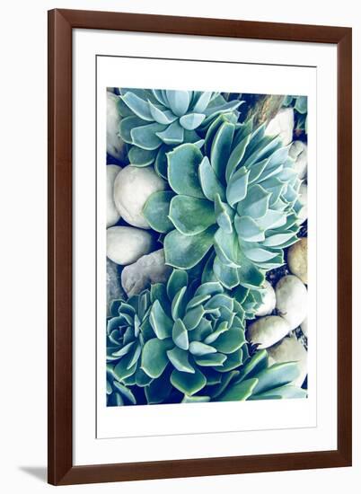 Succulents no words-Urban Epiphany-Framed Art Print