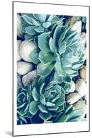 Succulents no words-Urban Epiphany-Mounted Art Print