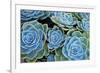 Succulents-Bennett Barthelemy-Framed Photographic Print