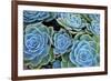 Succulents-Bennett Barthelemy-Framed Photographic Print