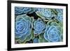 Succulents-Bennett Barthelemy-Framed Photographic Print