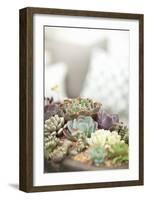 Succulents-Karyn Millet-Framed Photographic Print