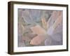 Succulents-Kimberly Allen-Framed Photographic Print