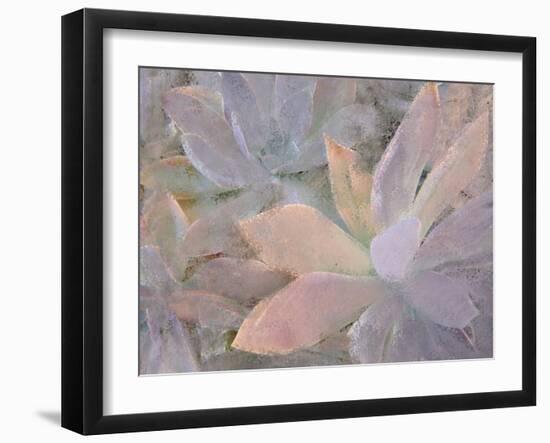 Succulents-Kimberly Allen-Framed Photographic Print