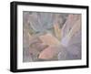 Succulents-Kimberly Allen-Framed Photographic Print