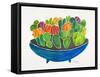 Succulents-Cat Coquillette-Framed Stretched Canvas