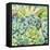 Succulents-Leslie Trimbach-Framed Stretched Canvas