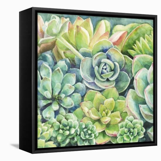 Succulents-Leslie Trimbach-Framed Stretched Canvas