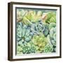 Succulents-Leslie Trimbach-Framed Art Print