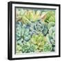 Succulents-Leslie Trimbach-Framed Art Print