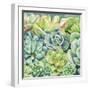 Succulents-Leslie Trimbach-Framed Art Print