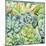 Succulents-Leslie Trimbach-Mounted Art Print