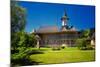 Sucevita Painted Monastery-igabriela-Mounted Photographic Print