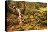 Sucha Kamenice Creek Flowing Between Rocks, Ceske Svycarsko - Bohemian Switzerland, Czech Republic-Ruiz-Stretched Canvas