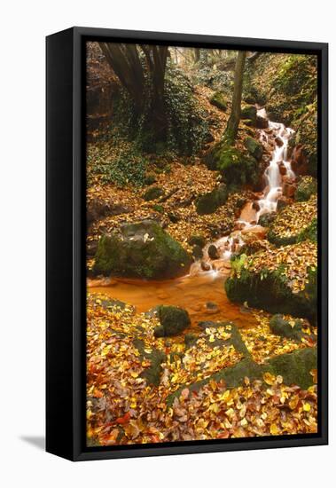 Sucha Kamenice Creek in Forest, Ceske Svycarsko - Bohemian Switzerland Np, Czech Republic-Ruiz-Framed Stretched Canvas