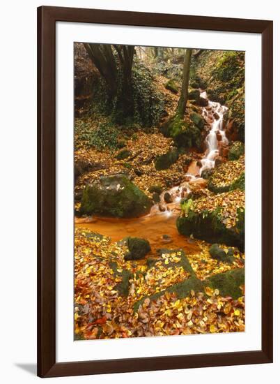 Sucha Kamenice Creek in Forest, Ceske Svycarsko - Bohemian Switzerland Np, Czech Republic-Ruiz-Framed Photographic Print
