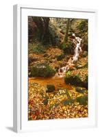 Sucha Kamenice Creek in Forest, Ceske Svycarsko - Bohemian Switzerland Np, Czech Republic-Ruiz-Framed Photographic Print