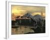 Suchomimus Dinosaurs Walking Next to Pond at Sunset-Stocktrek Images-Framed Art Print