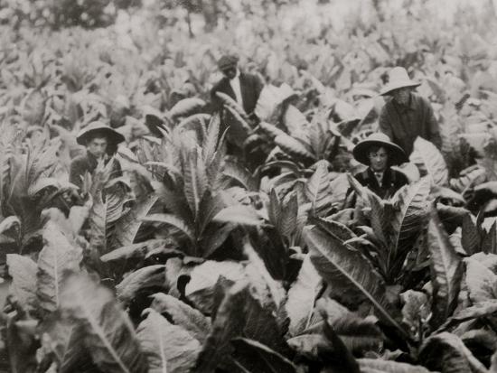 Photo, , large