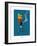 Sud-Mer-Sud-Terre - Rasta-MNS-Sylvain Bichicchi-Framed Art Print