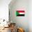 Sudan Flag Design with Wood Patterning - Flags of the World Series-Philippe Hugonnard-Stretched Canvas displayed on a wall