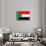 Sudan Flag Design with Wood Patterning - Flags of the World Series-Philippe Hugonnard-Stretched Canvas displayed on a wall