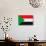 Sudan Flag Design with Wood Patterning - Flags of the World Series-Philippe Hugonnard-Art Print displayed on a wall