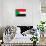 Sudan Flag Design with Wood Patterning - Flags of the World Series-Philippe Hugonnard-Art Print displayed on a wall